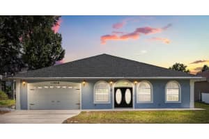 13848 Vista Del Lago Blvd, CLERMONT