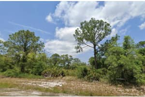 1822 WASHINGTON BOULEVARD, LAKE PLACID, FL 33852 - MLS#MFRO6321188