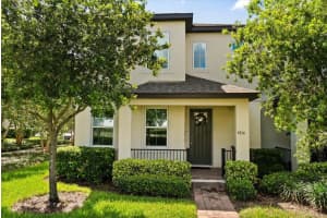 9814 Amber Chestnut Way, WINTER GARDEN