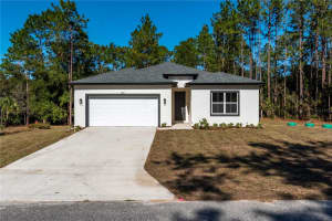 2833 NEWHAVEN STREET, INVERNESS, FL 34453 - MLS#MFRO6321254