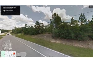 8965 CITRUS SPRINGS BOULEVARD, CITRUS SPRINGS, FL 34433 - MLS#MFRO6321275