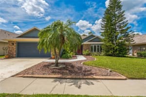 1403 VENTANA DRIVE, SUN CITY CENTER, FL 33573 - MLS#MFRO6321385