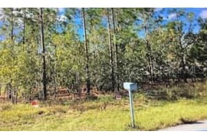 SILVER SPRINGS SHORES, OCALA, FL 34472 - MLS#MFRO6321404