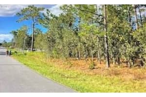 SILVER SPRINGS SHORES, OCALA, FL 34472 - MLS#MFRO6321404