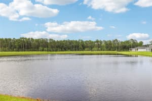 8 WANDERING CREEK WAY, PALM COAST, FL 32164 - MLS#MFRO6321466
