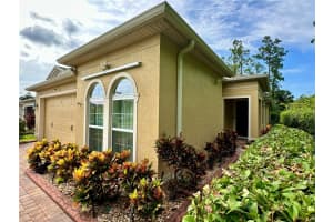 1573 AMBER LEAF CIRCLE, OCOEE, FL 34761 - MLS#MFRO6321623