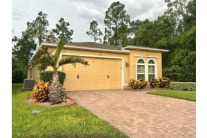 1573 AMBER LEAF CIRCLE, OCOEE, FL 34761 - MLS#MFRO6321623