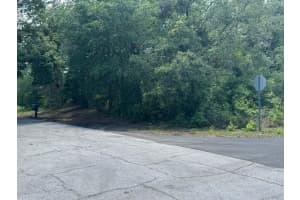 10798 DRAGONIS DRIVE, CITRUS SPRINGS, FL 34433 Sold 09/10/25