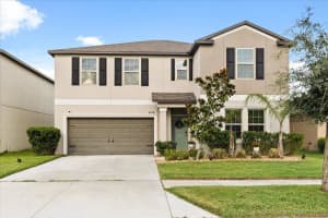 4704 Wild Senna Blvd, TAMPA