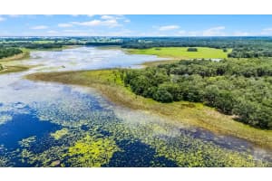 3170 BRIGHT LAKE CIRCLE, GROVELAND, FL 34736 - MLS#MFRO6322298
