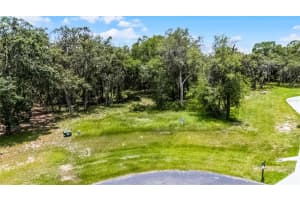 3170 BRIGHT LAKE CIRCLE, GROVELAND, FL 34736 - MLS#MFRO6322298
