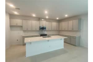 335 RIDGEMARK AVENUE, GROVELAND, FL 34736 Sold 07/28/25