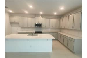 335 RIDGEMARK AVENUE, GROVELAND, FL 34736 Sold 07/28/25