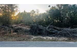 0000 202ND COURT, DUNNELLON, FL 34431 - MLS#MFRO6322532