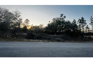 0000 202ND COURT, DUNNELLON, FL 34431 - MLS#MFRO6322532