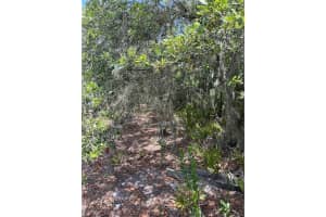 4515 SARVER AVENUE, LAKE WALES, FL 33859 Sold 09/23/25