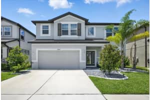 16082 Sonoma Grove Cir, TAMPA