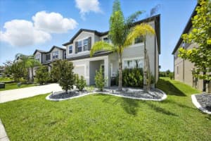 16082 SONOMA GROVE CIRCLE, TAMPA, FL 33647 - MLS#MFRO6322541