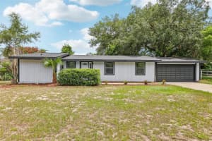 18015 BEACH STREET, UMATILLA, FL 32784 - MLS#MFRO6322564