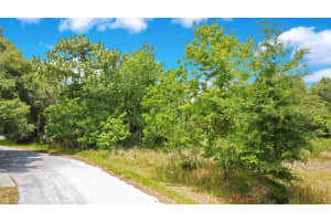 BAHIA RD, OCALA, FL 34472 - MLS#MFRO6322570