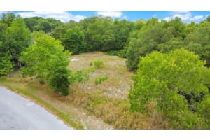 BAHIA RD, OCALA, FL 34472 - MLS#MFRO6322570