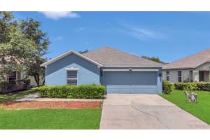 5145 Prairie View Way, WESLEY CHAPEL