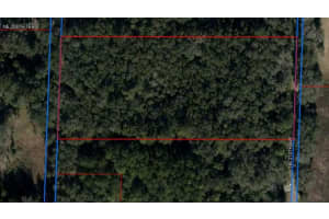 NE 210TH AVE, WILLISTON, FL 32696 - MLS#MFRO6322676