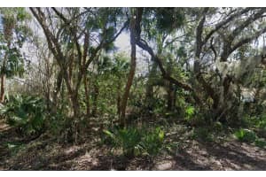 NANCY ST, OAK HILL, FL 32759 - MLS#MFRO6322722