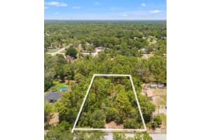GREENSBORO ST, SPRING HILL, FL 34610 - MLS#MFRO6322731