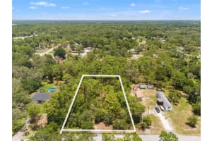 GREENSBORO ST, SPRING HILL, FL 34610 - MLS#MFRO6322731
