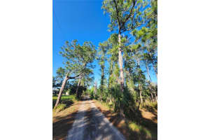 2332 MITCHELL ISLAND ROAD, DELTONA, FL 32738 - MLS#MFRO6322740