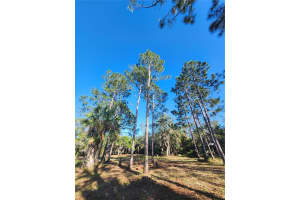 2332 MITCHELL ISLAND ROAD, DELTONA, FL 32738 - MLS#MFRO6322740