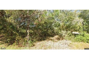 634 MEDITERRANEAN COURT, KISSIMMEE, FL 34759 - MLS#MFRO6322861