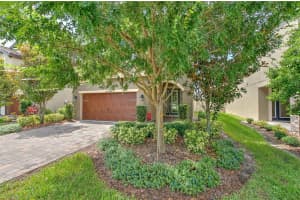 12990 BURNS DRIVE, ODESSA, FL 33556 - MLS#MFRO6322899