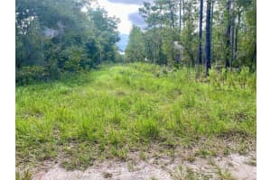 SW 16TH ST, OCALA, FL 34481 - MLS#MFRO6323003