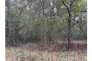 SW 16TH ST, OCALA, FL 34481 - MLS#MFRO6323003