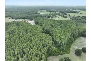 8449 BAY LAKE ROAD, GROVELAND, FL 34736 - MLS#MFRO6323240