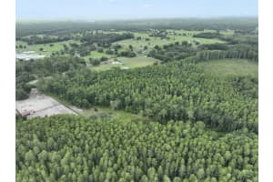 8449 BAY LAKE ROAD, GROVELAND, FL 34736 - MLS#MFRO6323240