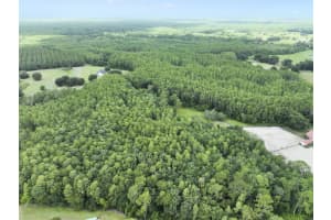 8449 BAY LAKE ROAD, GROVELAND, FL 34736 - MLS#MFRO6323240