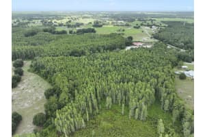 8449 BAY LAKE ROAD, GROVELAND, FL 34736 - MLS#MFRO6323240