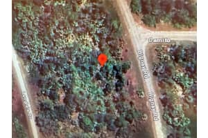 BIGNAY RD, NORTH PORT, FL 34288 - MLS#MFRO6323309