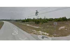 300 BEGONIA COURT, KISSIMMEE, FL 34759 - MLS#MFRO6323365