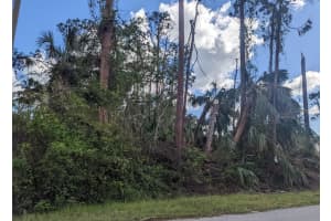 TALISMAN TER, NORTH PORT, FL 34286 - MLS#MFRO6323530