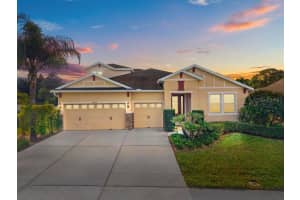 30120 Hackney Loop, MOUNT DORA