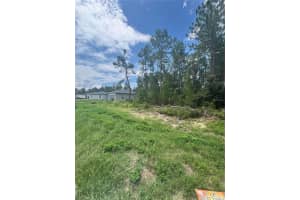 0 SW 132ND PLACE, OCALA, FL 34473 - MLS#MFRO6323722