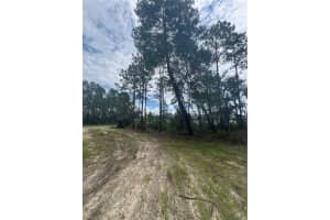 0 SW 132ND PLACE, OCALA, FL 34473 - MLS#MFRO6323722