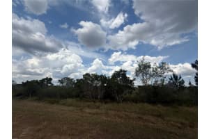 1565 REED ROAD, AVON PARK, FL 33825 - MLS#MFRO6323789