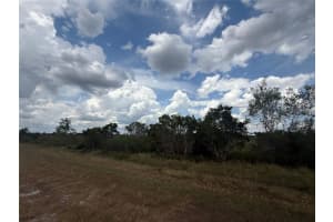 1565 REED ROAD, AVON PARK, FL 33825 - MLS#MFRO6323789