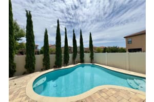 349 PARTRIDGE PEA LANE, OCOEE, FL 34761 - MLS#MFRO6323853