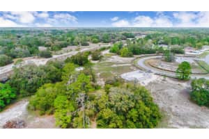 1343 HOMOSASSA DRIVE, KISSIMMEE, FL 34759 - MLS#MFRO6323886